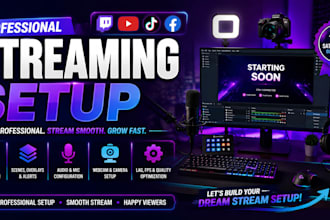 professionally setup obs studio for streaming and recording