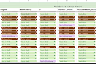 organize patient records and healthcare data in excel
