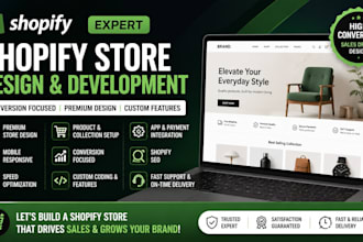 build a conversion focused shopify store with premium design and custom features
