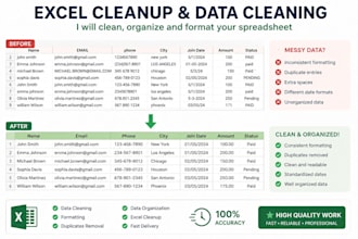 do excel data cleaning and spreadsheet formatting