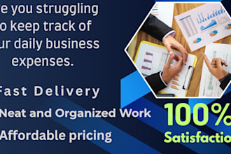 do professional bookkeeping, data entry and expense tracking in excel