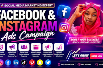 optimize fb and ig ads campaign,set meta ads,site promotion,social media manager