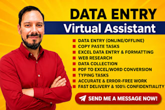 do data entry and web research