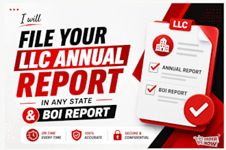 file your US llc annual report and boi report in any US state
