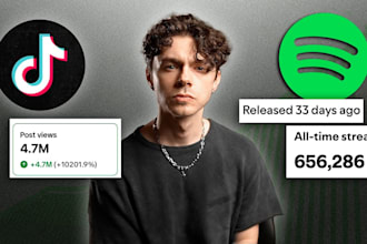 do music promotion promote your music on spotify and post on my 3k tiktok page