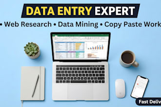 your virtual assistant for data entry, data mining, copy paste, web research