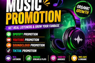 do organic spotify music promotion and song marketing