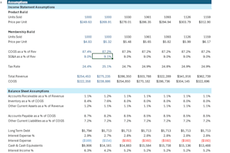 build a professional excel financial model and forecast
