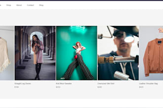 give you a micro saas and ecommerce platform with cms and SEO