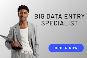 complete any big data entry task in 24 hours
