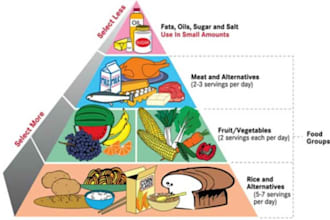 be responsible for maintaining the proper diet and health