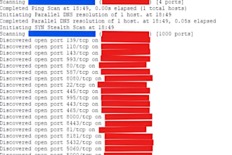 help review the security of your servers and or websites