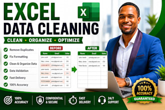 do professional excel data cleaning