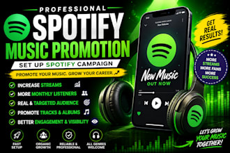 set up spotify campaign spotify promotion music promotion for spotify track