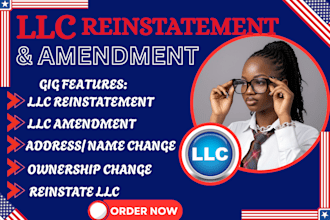 do llc amendment, llc reinstatement in wyoming llc delaware llc for non resident