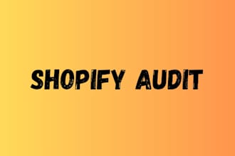 do a professional shopify store audit