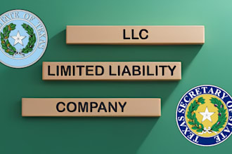 do texas llc formation, business formation, florida, delaware llc, llc formation