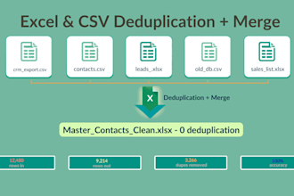 deduplicate merge and organize your excel and CSV files professionally
