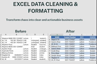 do data cleaning and data formatting in excel and word