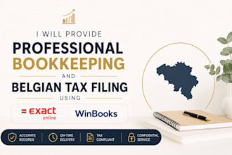 provide professional bookkeeping and belgian tax filing