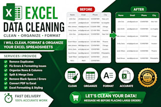 excel data cleaning and spreadsheet formatting