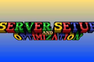 set up your professional minecraft and discord server