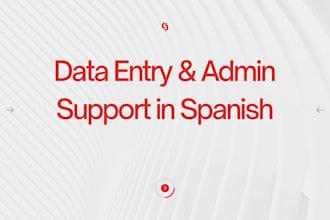 do data entry, excel management and administrative support in spanish