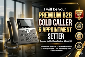 be your b2b cold caller and appointment setter