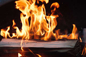 fulfill any tasks required in writing and publishing