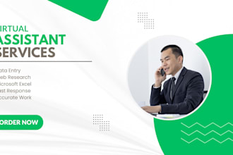 do accurate data entry and virtual assistant tasks