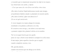 convertiré tus ideas en historias en español