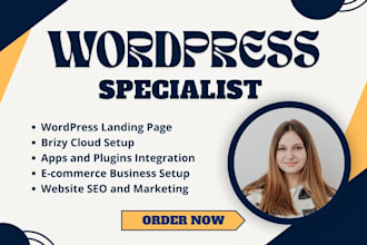 design redesign wordpress website using brizy cloud