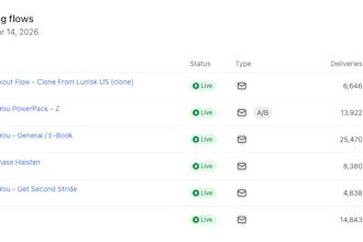 audit your klaviyo account and fix your email flows