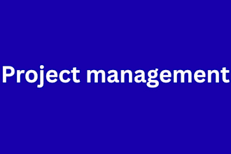 be your project management and manager