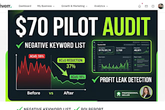 perform a professional amazon PPC audit and ROI calculation