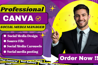 canva venngage design canva expert perfect canva template expert canva va