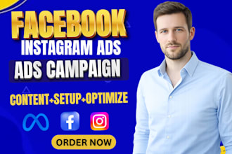 set up and manage your facebook ads, instagram ads campaign