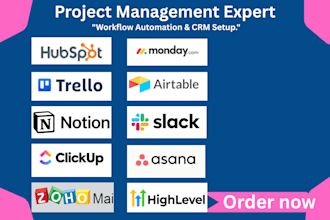 be a professional project manager expert business operations