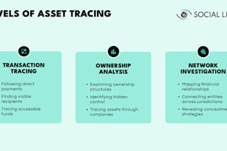 conduct forensic accounting,fraud investigation, litigation support