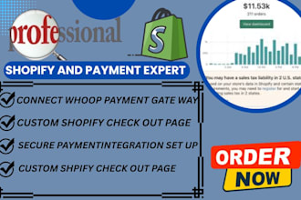 troubleshoot shopify checkout cart and payment bugs