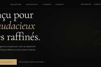 professional wordpress site for your business