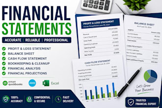 prepare income statement, balance sheet and financial reports