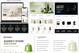 build a professional shopify dropshipping store