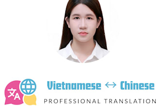provide professional chinese vietnamese  translation
