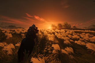 provide raw gameplay footage