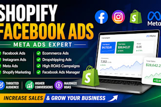 manage facebook ads, instagram ads and shopify meta ads campaigns