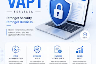 perform professional web application vapt testing