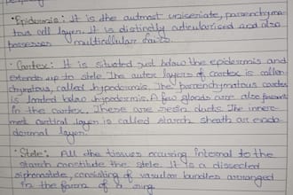 do beautiful handwriting notes assignments