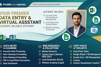 be your virtual assistant for web research and data entry