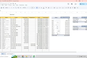 clean and organize your  data professionally